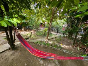 a hammock in a garden with trees at Casa Cacao in Lanquín