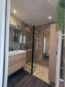 a bathroom with a sink and a shower at Le cosy de Cholet près du PUY DUFOU in Cholet +16 photos