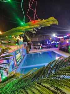 a swimming pool with christmas lights and a christmas tree at Shivpuri Hills Camp in Jāmb +4 photos