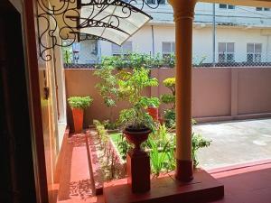 a view of a balcony with plants and a chandelier at The Garden Villa in Matara