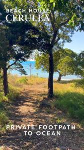 a picture of a dirt road with trees and the ocean at Absolute Beachfront with Ocean Views 3 Beds plus Pool in Hideaway Bay