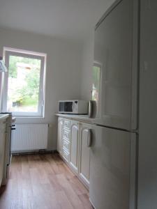 a kitchen with a refrigerator and a window at Apartment U Panorámy in Jáchymov