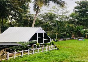 a tent in a field next to a fence at The Wildcamp - Coorg in Kushālnagar