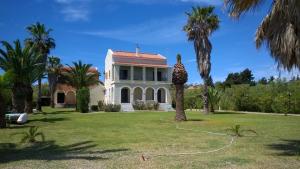 Zahrada ubytování Irini Apartments and Studios