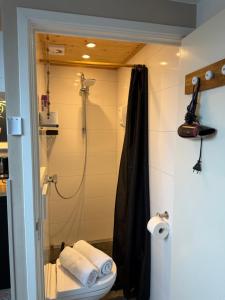 a bathroom with a shower and a toilet in it at 't Zeeuwse licht in Middelburg +45 photos