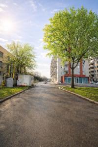an empty street with a tree in the middle at Olympus City Escape in Bucharest