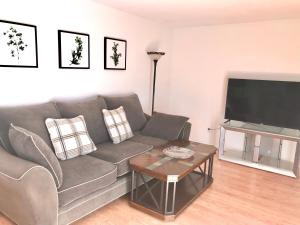 a living room with a gray couch and a flat screen tv at 4 Bedroom Vacation House With Pikes Peak view Pet-friendly in Aurora