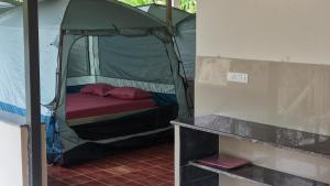 a small green tent with a bed in it at Thota'dha Tent Stay in SanivÄrsante