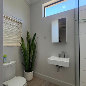a bathroom with a toilet and a sink and a plant at The Hidden Gem in Oakdale +13 photos