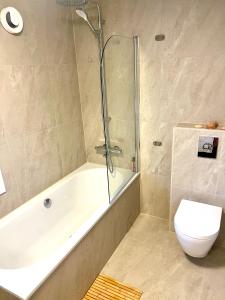 a bathroom with a tub and a toilet and a shower at Aurora beach house in Trondalen +15 photos