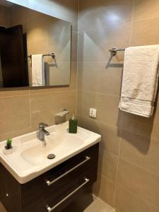 a bathroom with a sink and a mirror at Staye Deluxe 2BHK in Islamabad