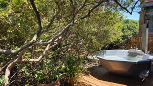 a bath tub sitting on a deck next to a tree at Noordhoek Beach Cabin in Noordhoek