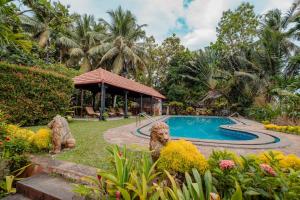 two dogs sitting next to a swimming pool at Madilina Heritage Villa in Parūr