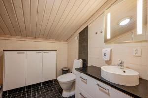 a bathroom with a white toilet and a sink at Villa Lily ski slopes 300 m, Jacuzzi for extra fee in Himos