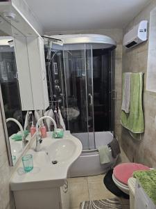 a bathroom with a shower and a sink and a tub at Kuća NADA in Donja Voća