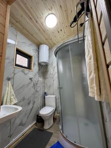 a bathroom with a shower and a toilet and a sink at Han Karakol in Karakol