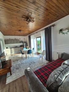 a living room with a couch and a table at Casuta Sofiei in Vîrfu Dealului