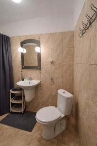 a bathroom with a toilet and a sink at Kalipso nad Jeziorem Białym in Okuninka
