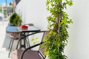 a plant is growing on the side of a building at Larnaca - Studio - Sleeps 4 - Garden - Parking in Larnaca