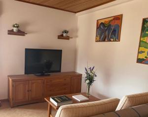 a living room with a flat screen tv on a wooden cabinet at Montrebei Casa González Apartamentos in Tolva