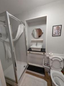 a bathroom with a shower and a toilet and a sink at Tredegar Arms Budget Guesthouse For Walkers/Cyclists/Contractors/Traveler in Merthyr Tydfil +28 photos