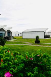 a group of houses in a field with flowers at Apelvikstrand in Varberg
