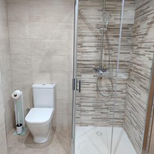 a bathroom with a toilet and a glass shower at Pensión Palomos in San Xoán de Río