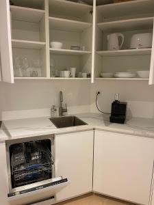 a kitchen with a sink and white cabinets at Wasserfall - Zentrum - Balkon - Seeblick - Küche in St. Moritz +18 photos