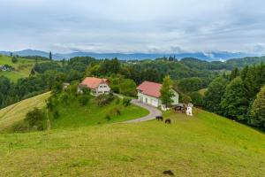 a house on top of a green hill with a road at Winzerhaus am Eichberg in Leutschach