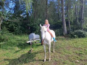 a young girl riding a white horse in a field at Osterbichlerhof in Feistritz am Kammersberg