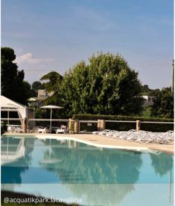 a large swimming pool with chairs and a tree at Penthouse Apartment Desenzano in Desenzano del Garda