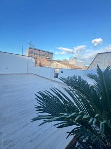 a palm tree on the roof of a building at Kymata Home in Avola