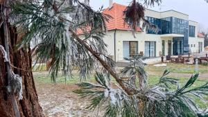 a house with a pine tree in front of it at Hostel i Restoran SEQUOIA in Slatina