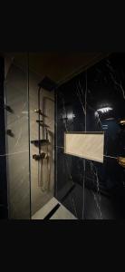 a bathroom with a shower with a glass wall at La Garson in Borsa
