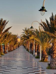 a sidewalk lined with palm trees and a street light at Costa Blanca Suit in Arenales del Sol