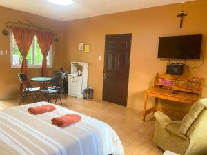 a bedroom with a bed and a tv and a table at Pulangbato Falls Mountain Resort in Dumaguete