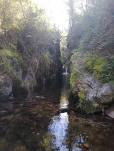 a stream in the middle of a forest with a waterfall at Casa Salvia in Castelanes