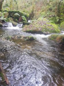 a stream of water with rocks in a forest at Casa Salvia in Castelanes