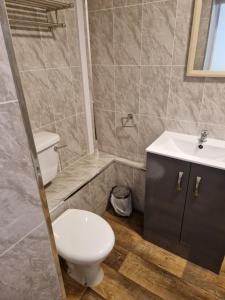 a bathroom with a toilet and a sink at Ynyscedwyn Arms in Ystradgynlais