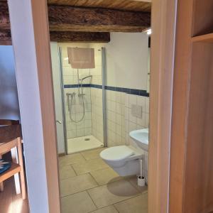 a bathroom with a toilet and a shower at Centro Arte Cabbiolo in Cabbiolo