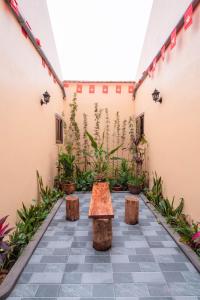 a courtyard of a building with two benches and plants at ThuAn Homestay Hoa Lư in Ða Gia