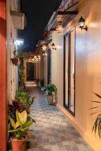 a corridor of a building at night with plants at ThuAn Homestay Hoa Lư in Ða Gia +27 photos
