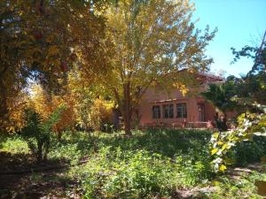 a house with a tree in the yard at Palmas Magramane Ogandou in Skoura