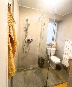 a bathroom with a shower and a toilet at Ahat apartment- Modern stay near center & free parking in Maribor