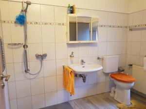 a bathroom with a toilet and a sink and a shower at Omas Stübchen - Monteurwohnung auf dem Land in Borken +2 photos