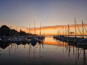 a group of boats docked in a marina at sunset at FEWOCASA Central Family Apartment Rorschach - Lake Constance - Near St Gallen in Rorschach