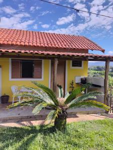 a yellow house with a palm tree in front of it at Chalésforquilha in Delfinópolis