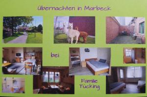 a collage of pictures of a house with animals at Alte Werkstatt - Monteurwohnung auf dem Land in Borken