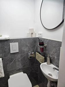 a bathroom with a sink and a toilet and a mirror at Studio Appartement without steps and terrace in Görlitz +11 photos
