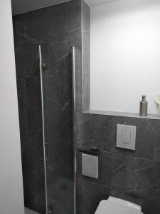 a bathroom with a glass shower with a toilet at Studio Appartement without steps and terrace in Görlitz